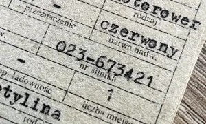 Numer silnika 023-673421 widoczny na dokumencie.
