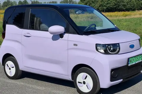 Uroczy, fioletowy chiński elektryk z czarnym dachem stoi na tle zielonej łąki.