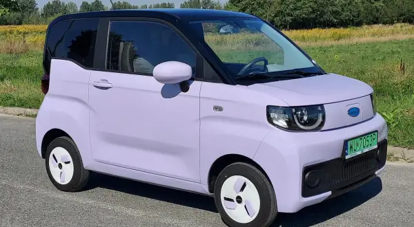 Uroczy, fioletowy chiński elektryk z czarnym dachem stoi na tle zielonej łąki.